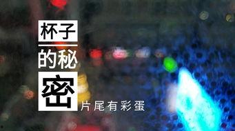 葫芦岛饭店爆料事件视频,事件真相揭秘  第1张